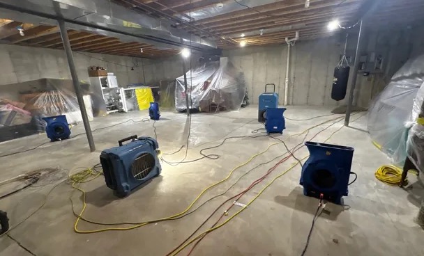 Basement Water Extraction in Seffner, FL