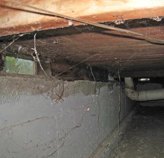 Crawl Space Water Extraction in Parrish, FL