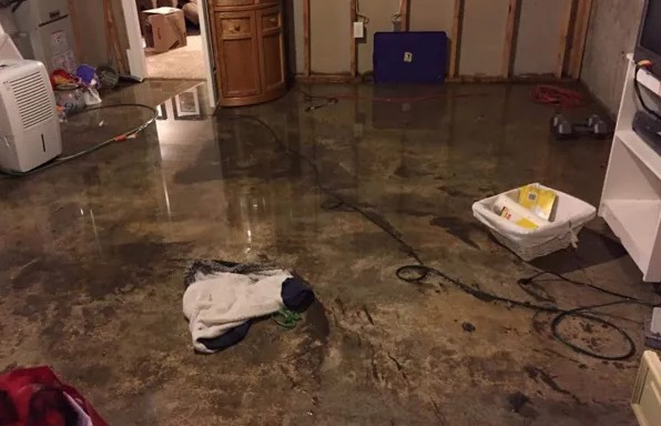 Same Day Water Removal in Parrish, FL