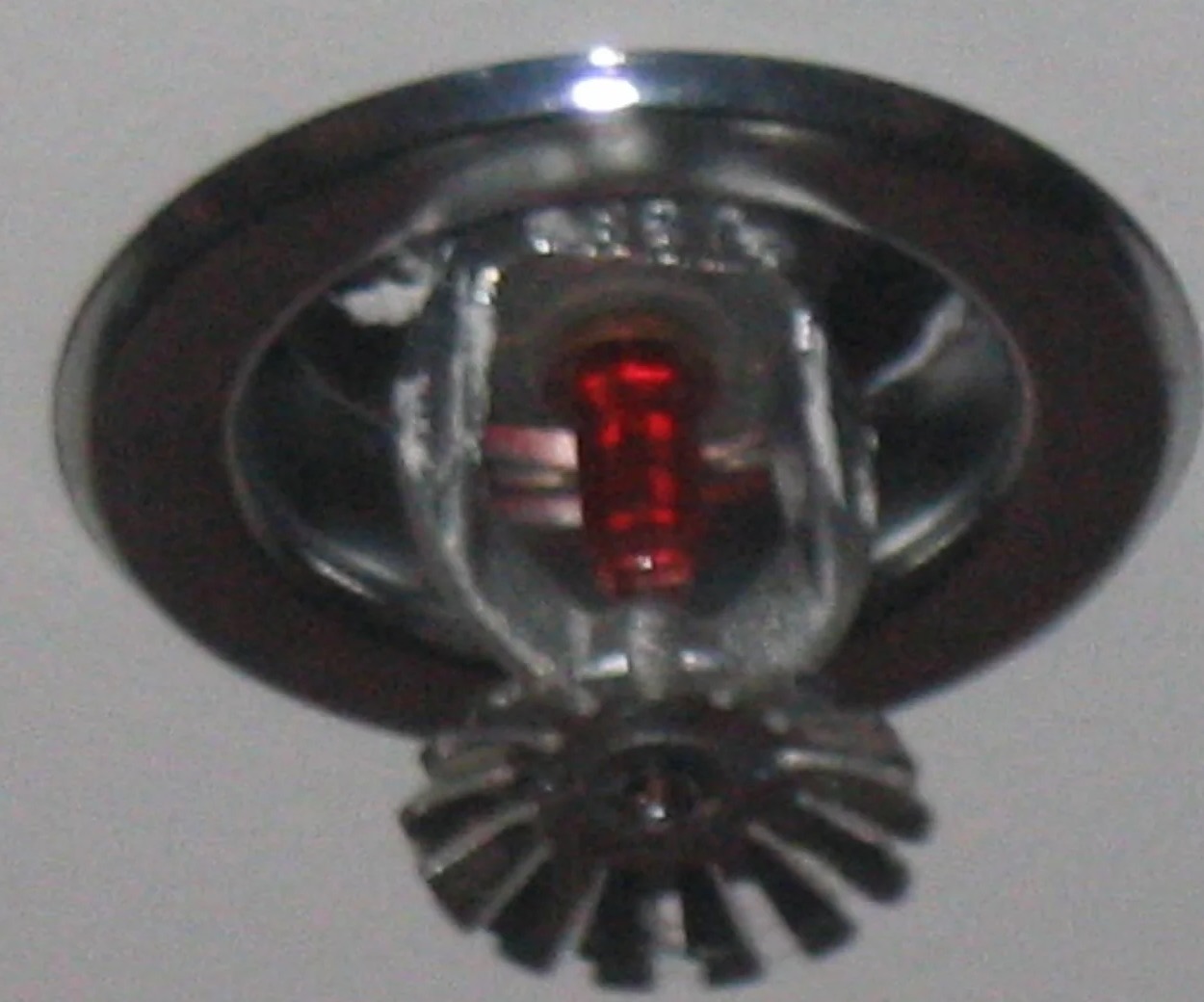 Sprinkler System Water Removal in Seffner, FL