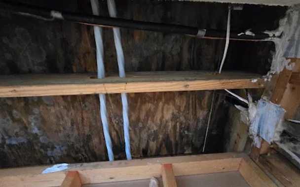 Attic Water Extraction in Seffner, FL