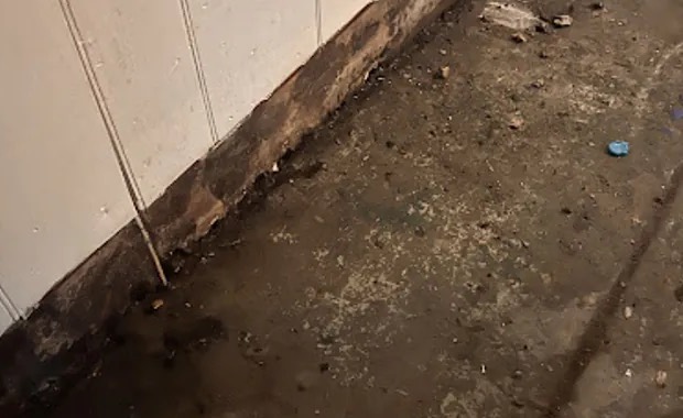 Black Water Cleanup in St. Petersburg, FL