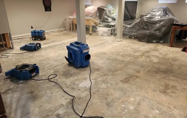 Dehumidification Services in Apollo Beach, FL