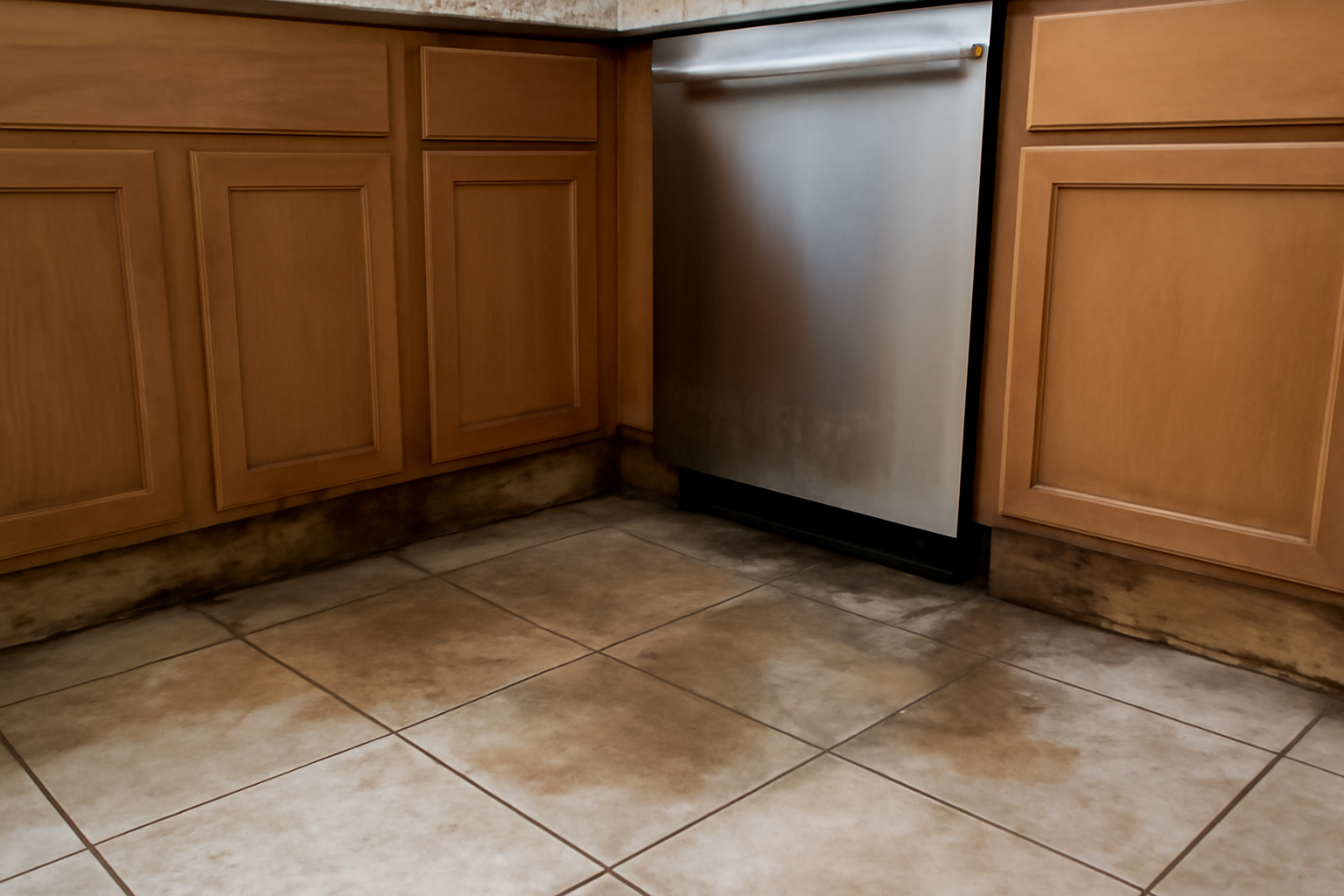 Dishwasher Leak Water Removal in East Lake, FL
