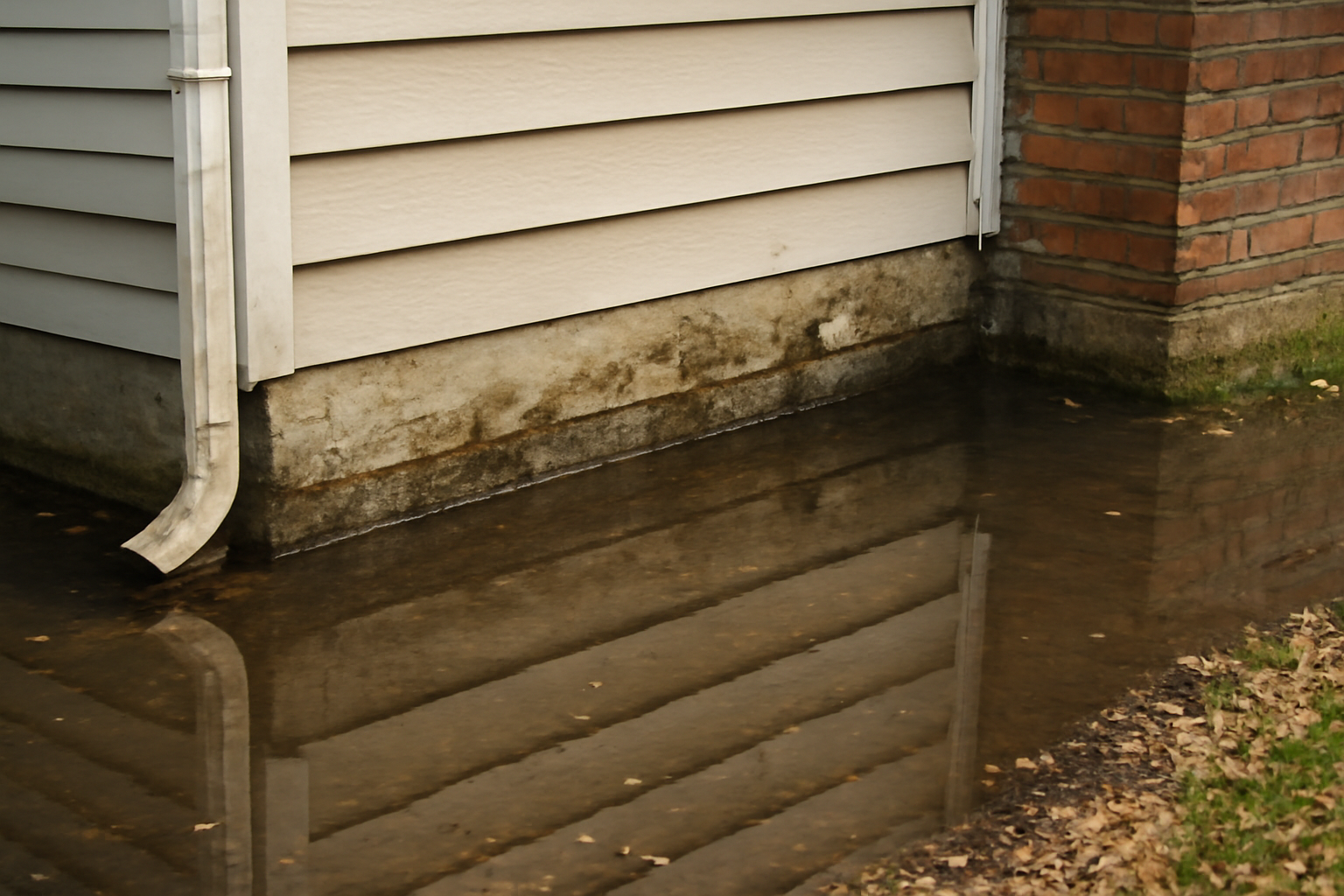 Standing Water Removal in Bee Ridge, FL